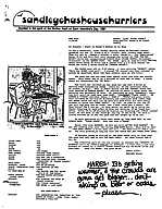 1989_SDH3_04_Run416.pdf